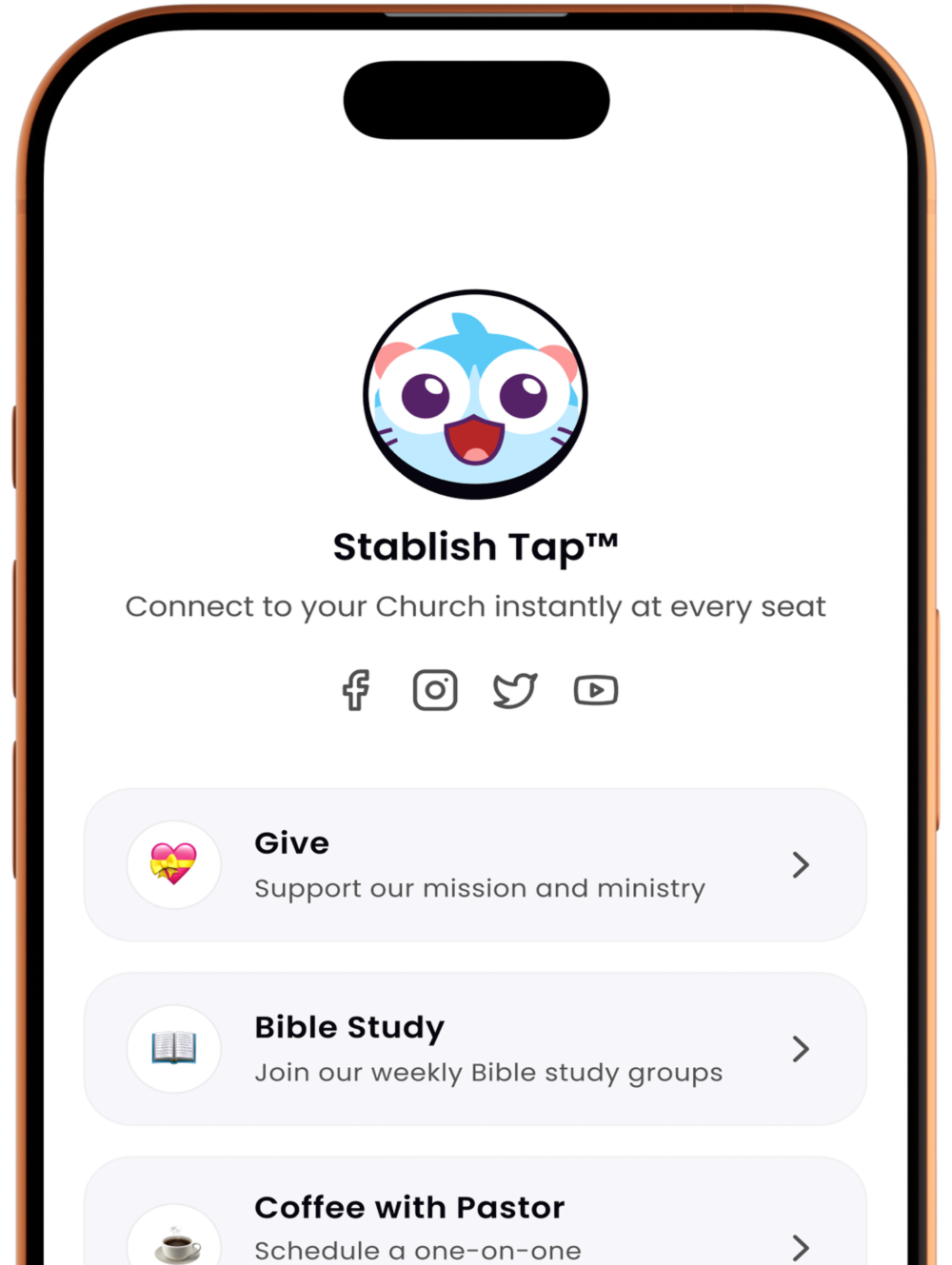 Stablish Tap preview on mobile phone